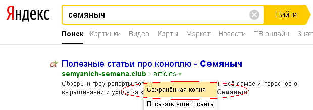 Сохранненая копия сайта Семяныч в поиске Яндекса