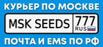 MSK seeds